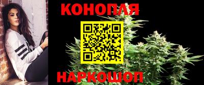 молекула духа Будённовск