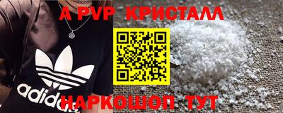 молекула духа Будённовск