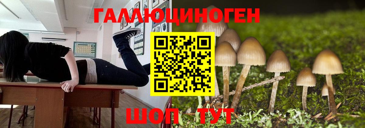 Истра  Галлюциногенные грибы Cubensis  Вход с VPN 